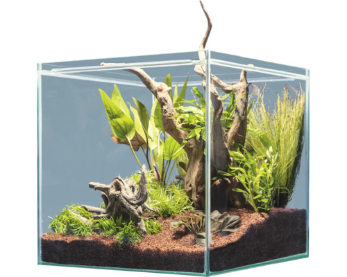 Aquarium decoration sera Hardscape Set Scaper Cube South America for 48 to 80 liter aquarium, optimal 64 liter, incl. Scaper Wood, floredepot, Gravel Brown (without plants and aquarium)