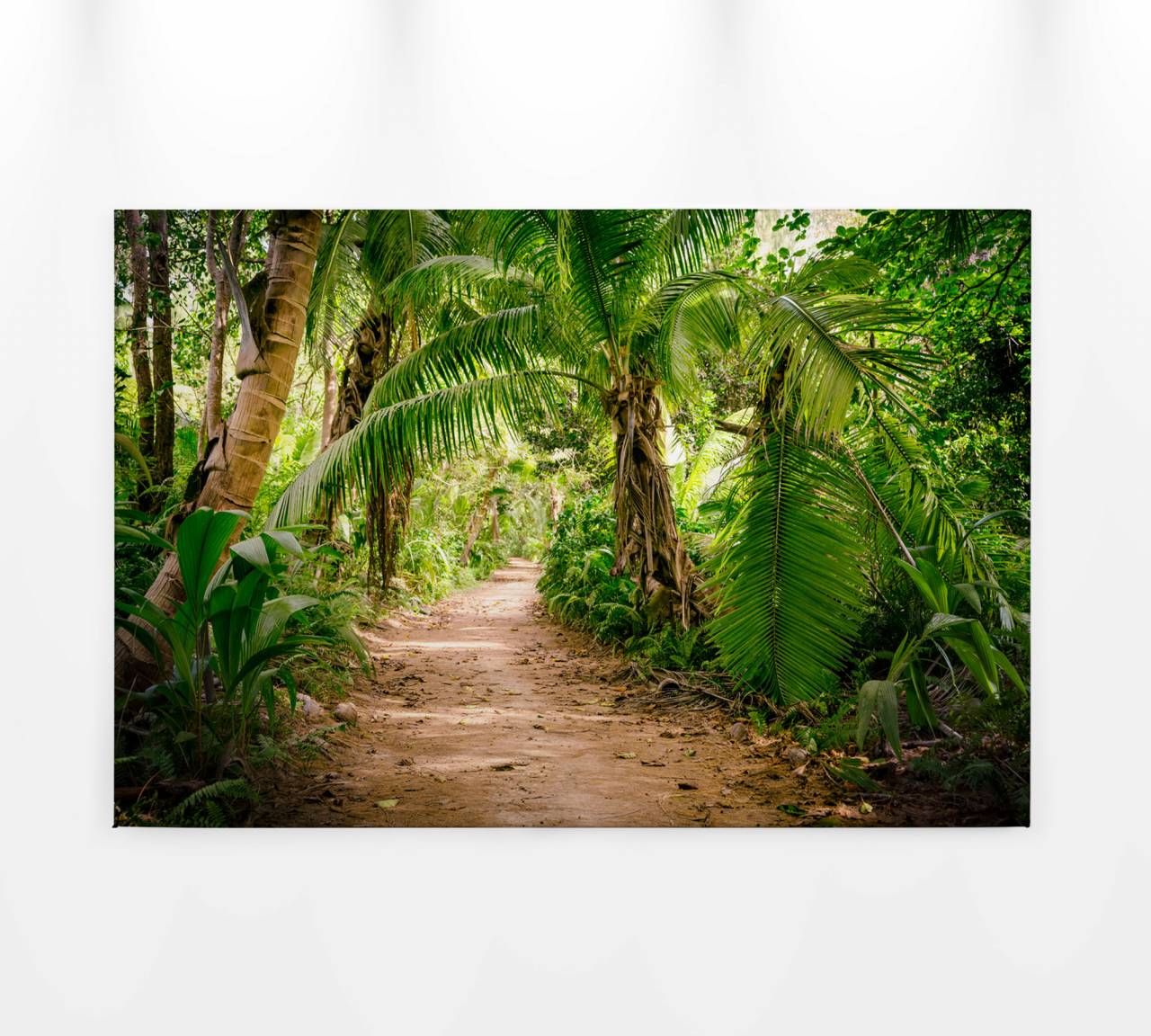As creation canvas picture jungle green dd120308