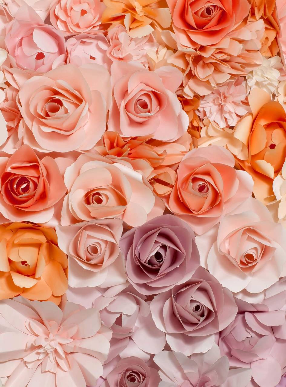 A.S. Creation As Photo Wallpaper Flowers Design Walls 2 Dd119103