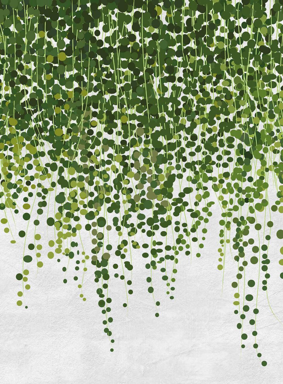 A.S. Creation As Mural Hanging Plants Designwalls 2 Dd119132