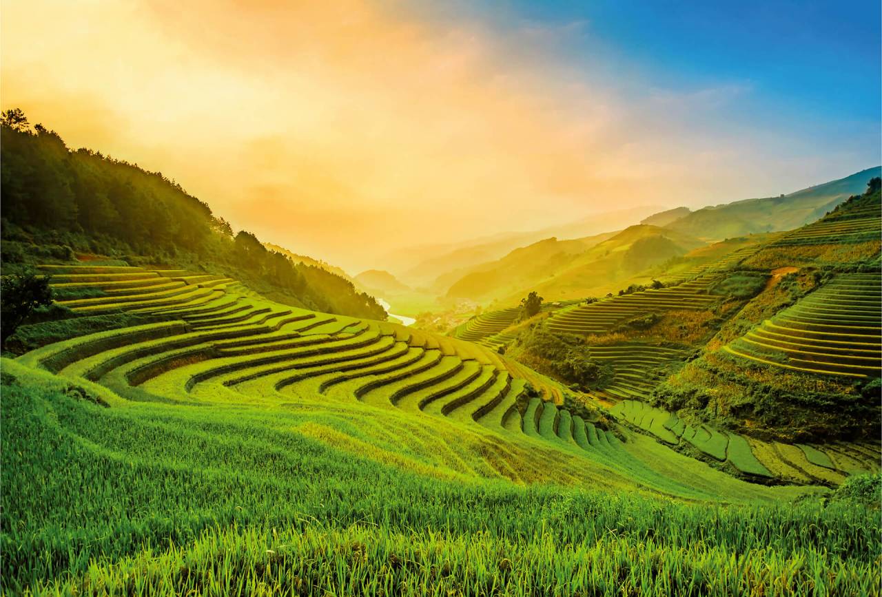A.S. Creation As Photo Wallpaper Rice Field In Vietnam Designwalls 2 Dd118897