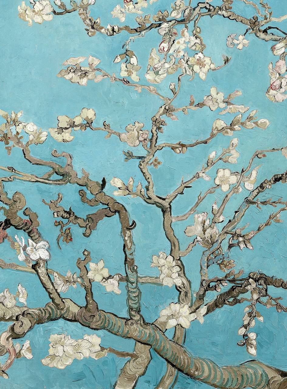 As photo wallpaper van Gogh - Almond Blossom Design Walls 2 DD1191