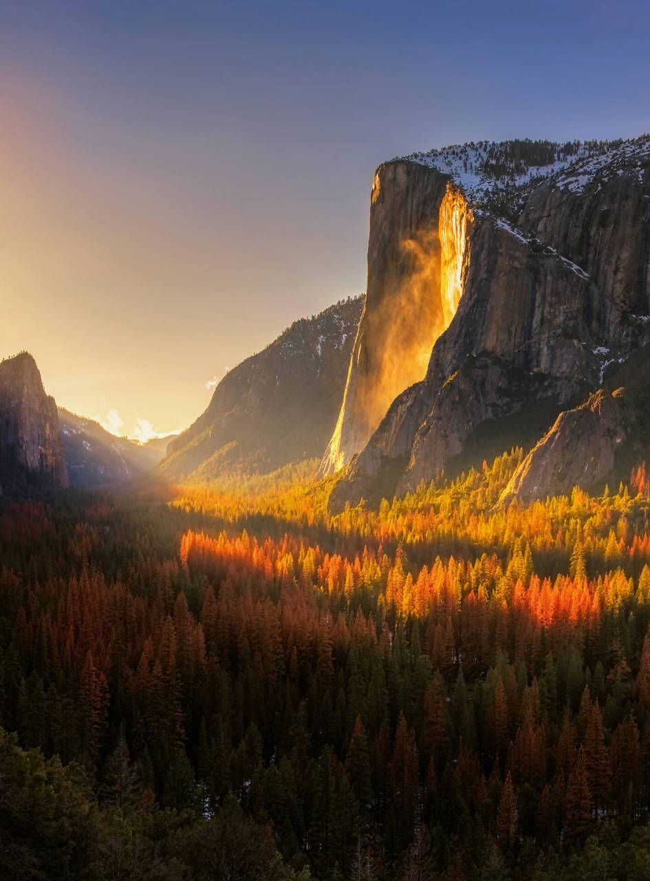 A.S. Creation As Mural Yosemite National Park Usa Designwalls 2 Dd119