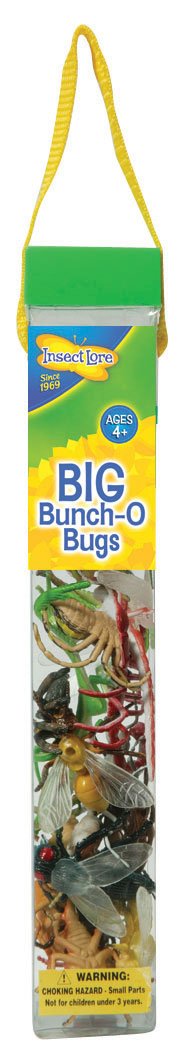 Insect Lore Big Bunch O Bugs