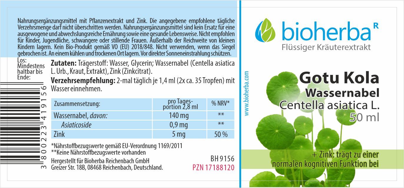 Bioherba Gotu Kola Pennywort Drops Tincture Extract
