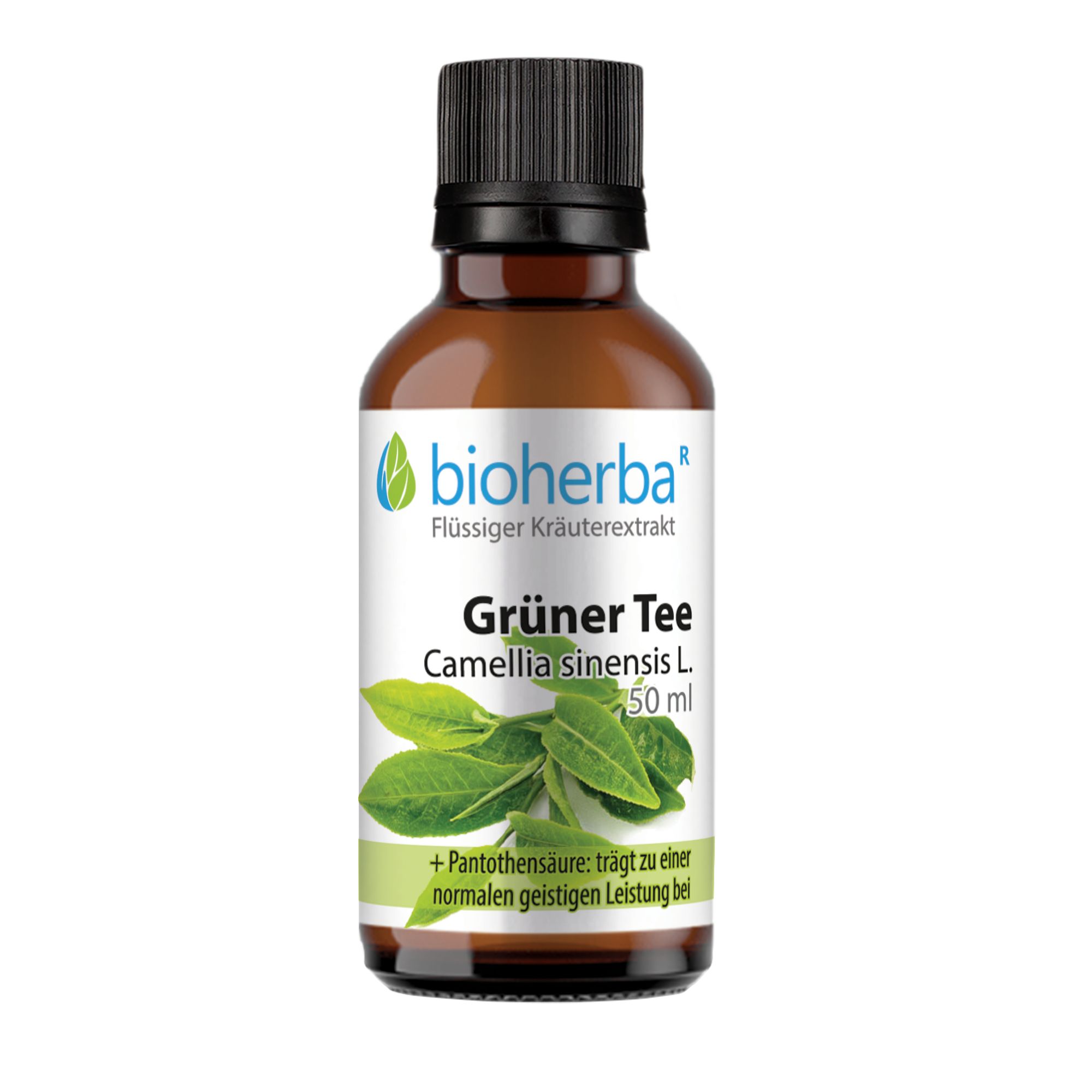 Bioherba Green Tea Camellia sinensis L. Drops Tincture Extract