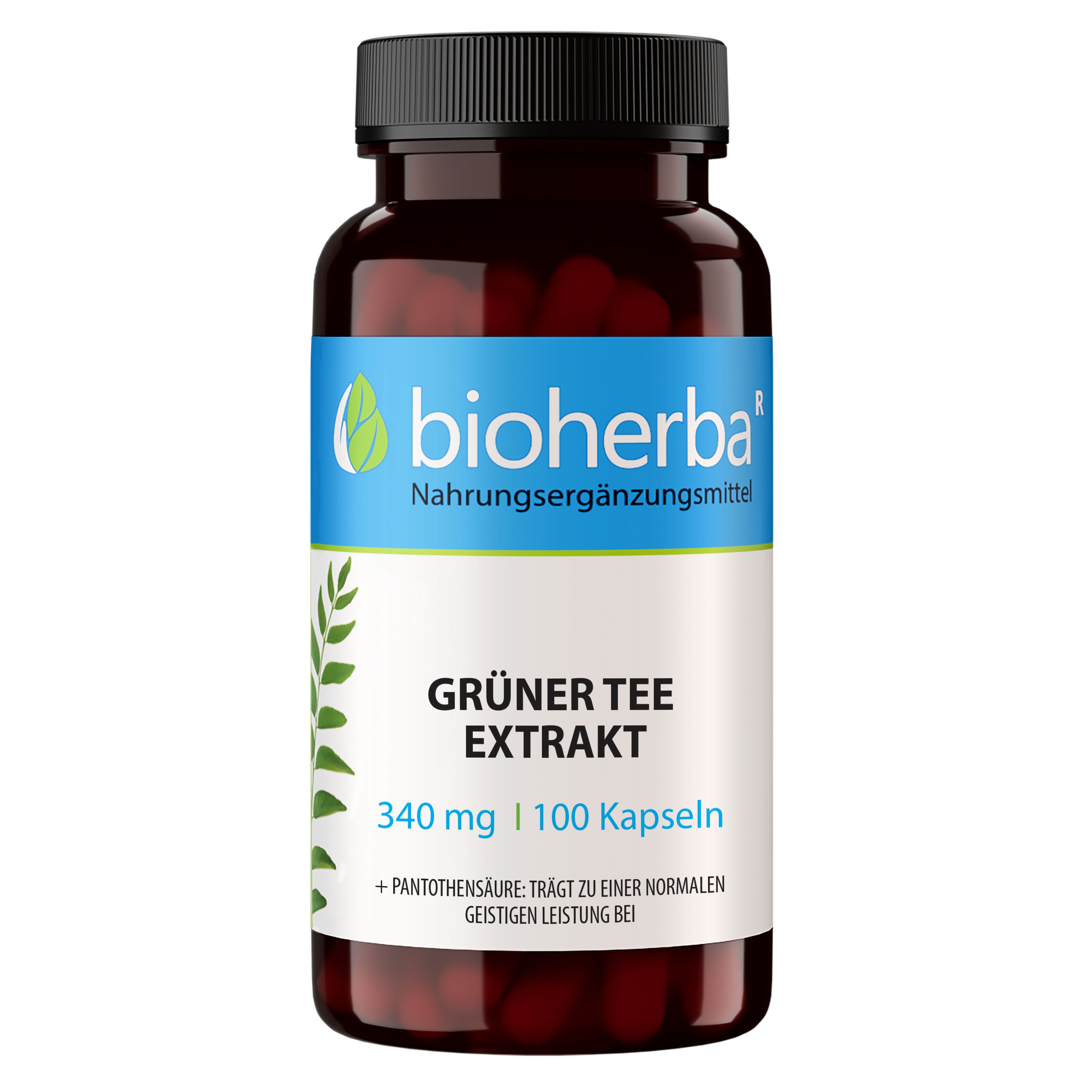 Bioherba green tea extract capsules