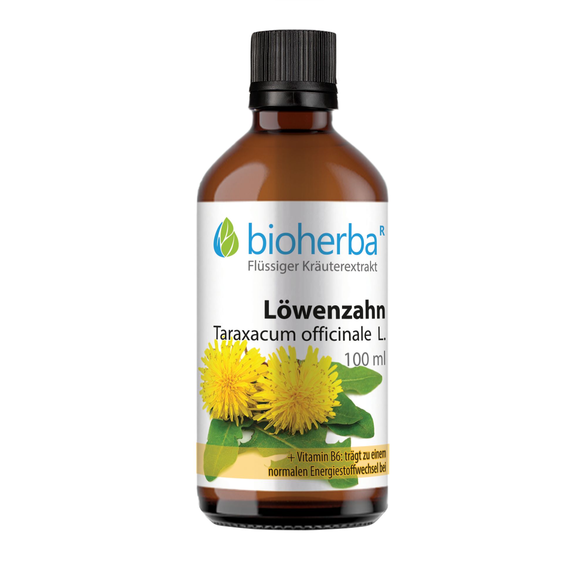 Bioherba Dandelion Taraxacum officinale L. Drops tincture extract