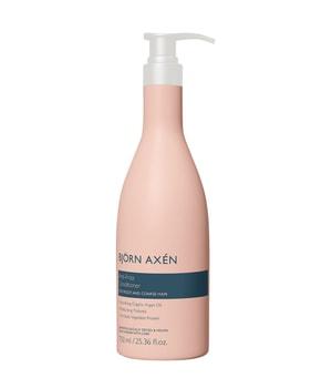 BJÖRN AXÉN Anti-Frizz Conditioner