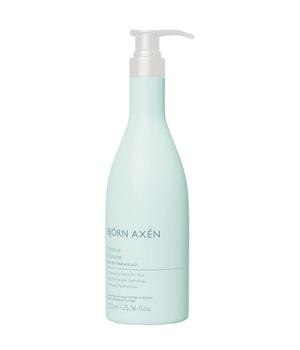 BJÖRN AXÉN Moisture