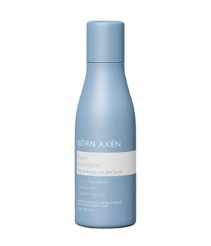 BJÖRN AXÉN Repair