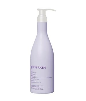 BJÖRN AXÉN Volumizing