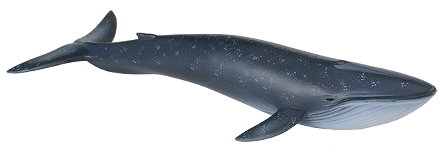 Blue Whale Figure