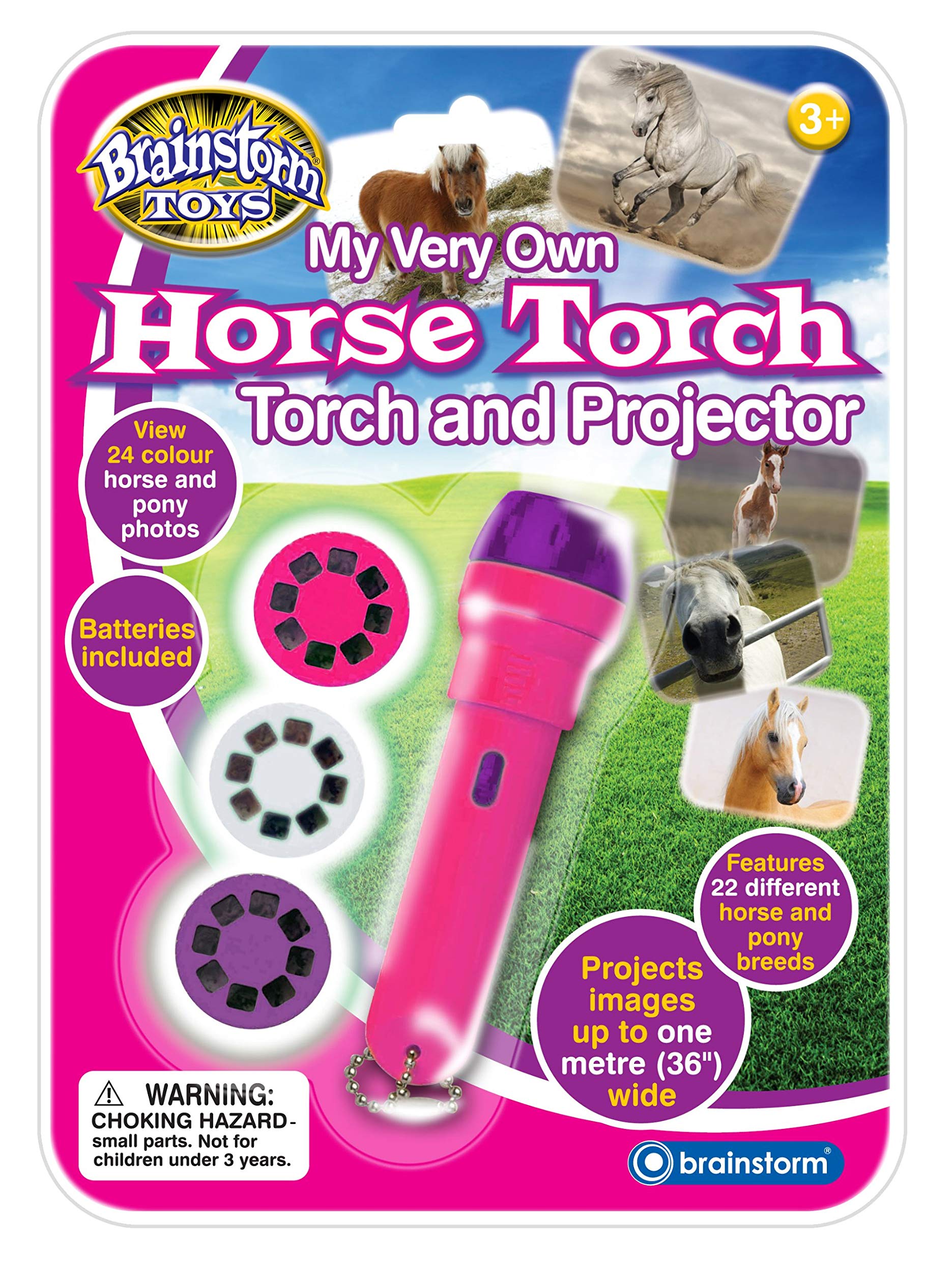 Brainstorm Horse Torch And Projector