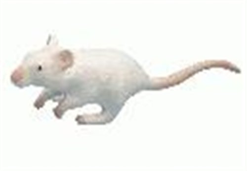 Bullyland Bully Country 64381 – Mouse Baby, 10 Cm, White