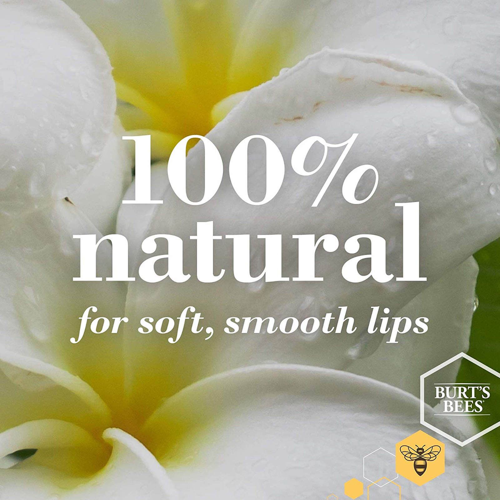 Burts Bees Matcha & Honig Lippenbalsam