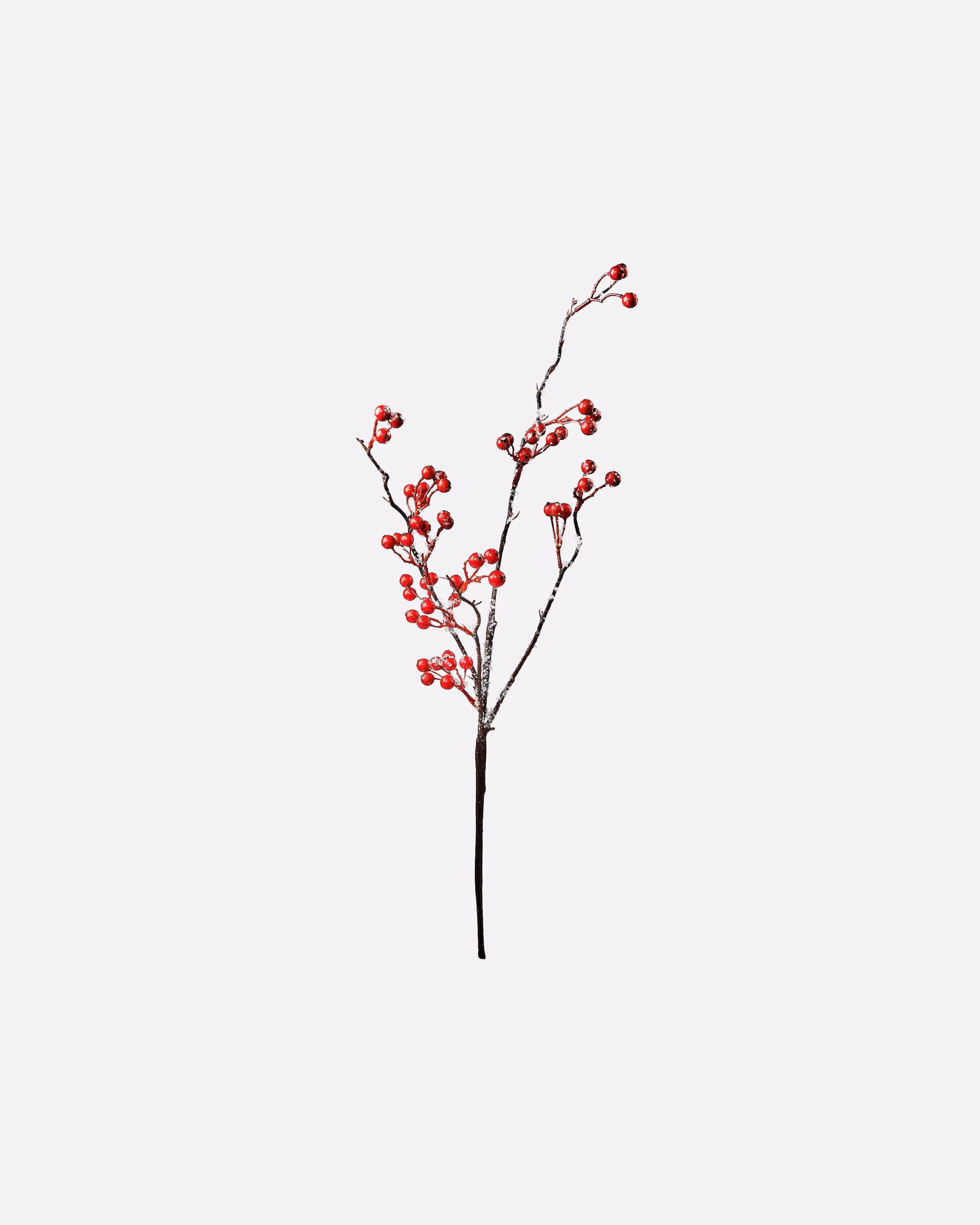 BUTLERS decoration FLORISTA 2x frosted berry branches length 54cm