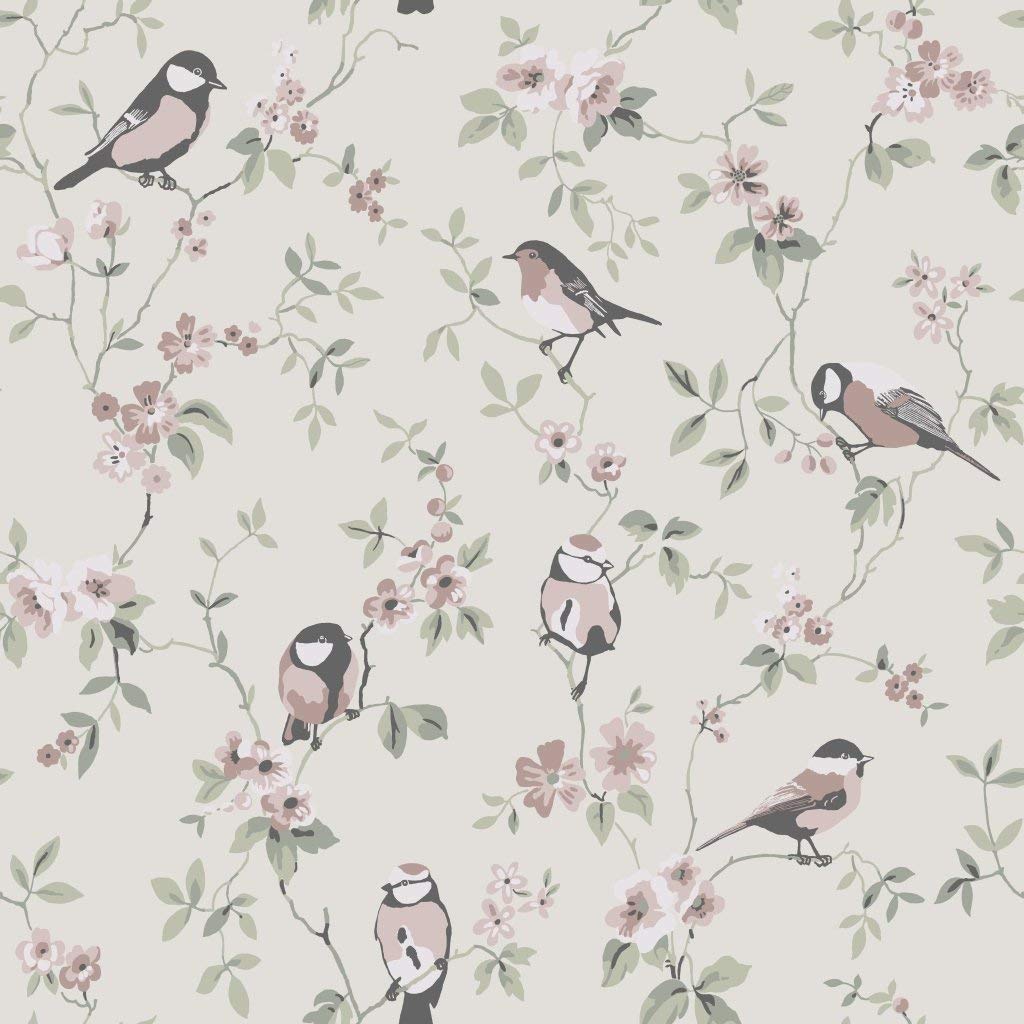 Falsterbo Ii 4024 Non-Woven Wallpaper Singing Birds And Flower Tendrils Bei