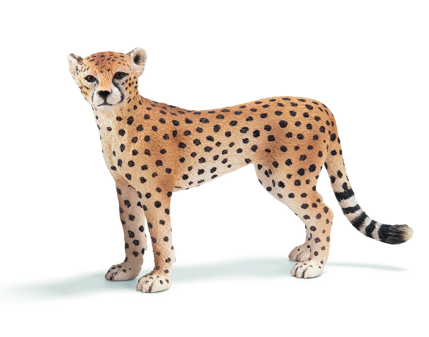 Schleich Cheetah - Female