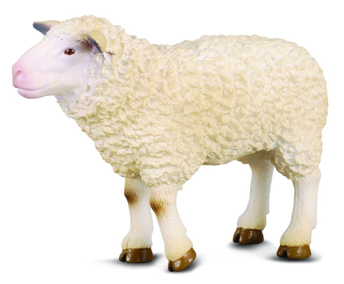 Collecta – 3388008 Figure – Farm – Sheep