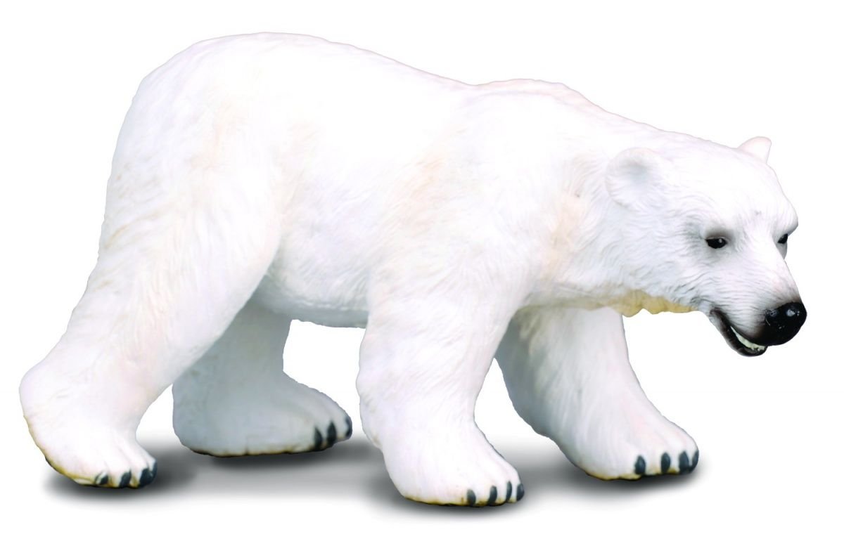 Collecta – 3388214 Figure – Wild Animals – Bear – White