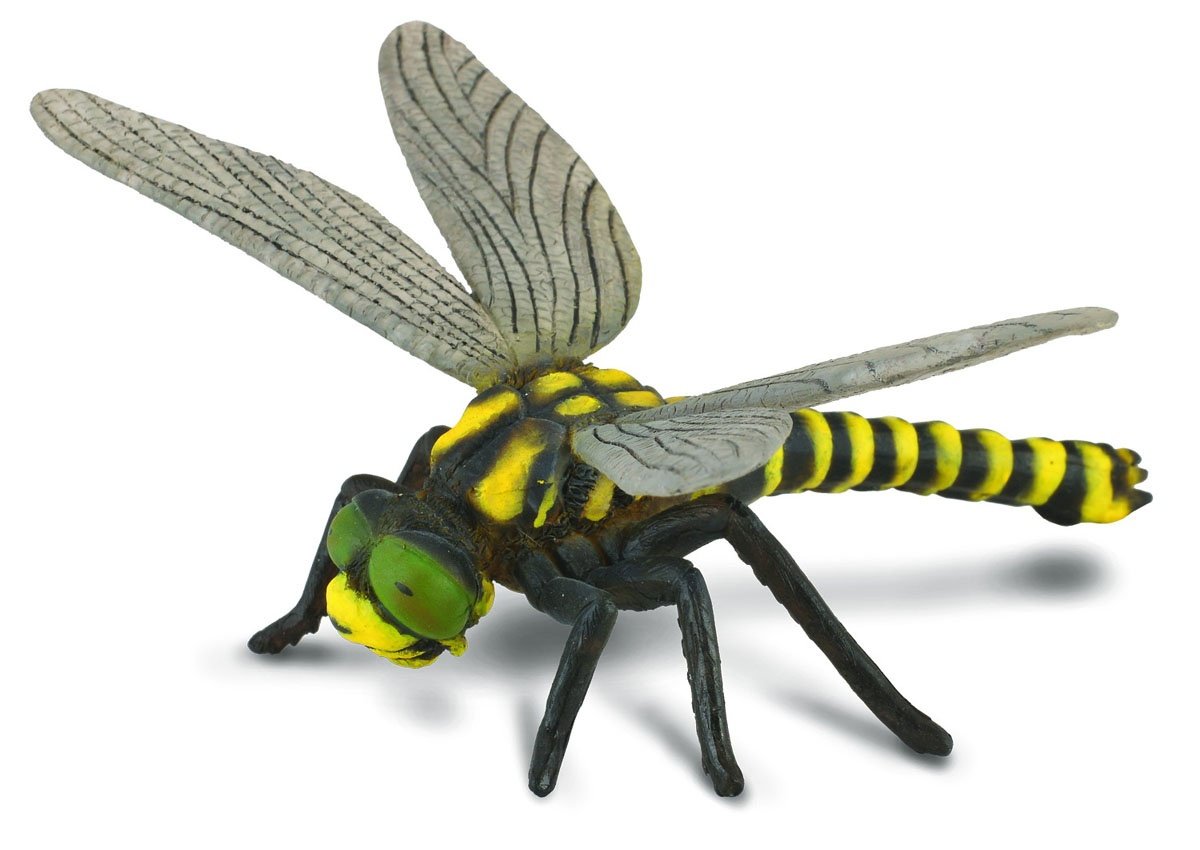 Collecta 88350 - Goldenringed Dragonfly