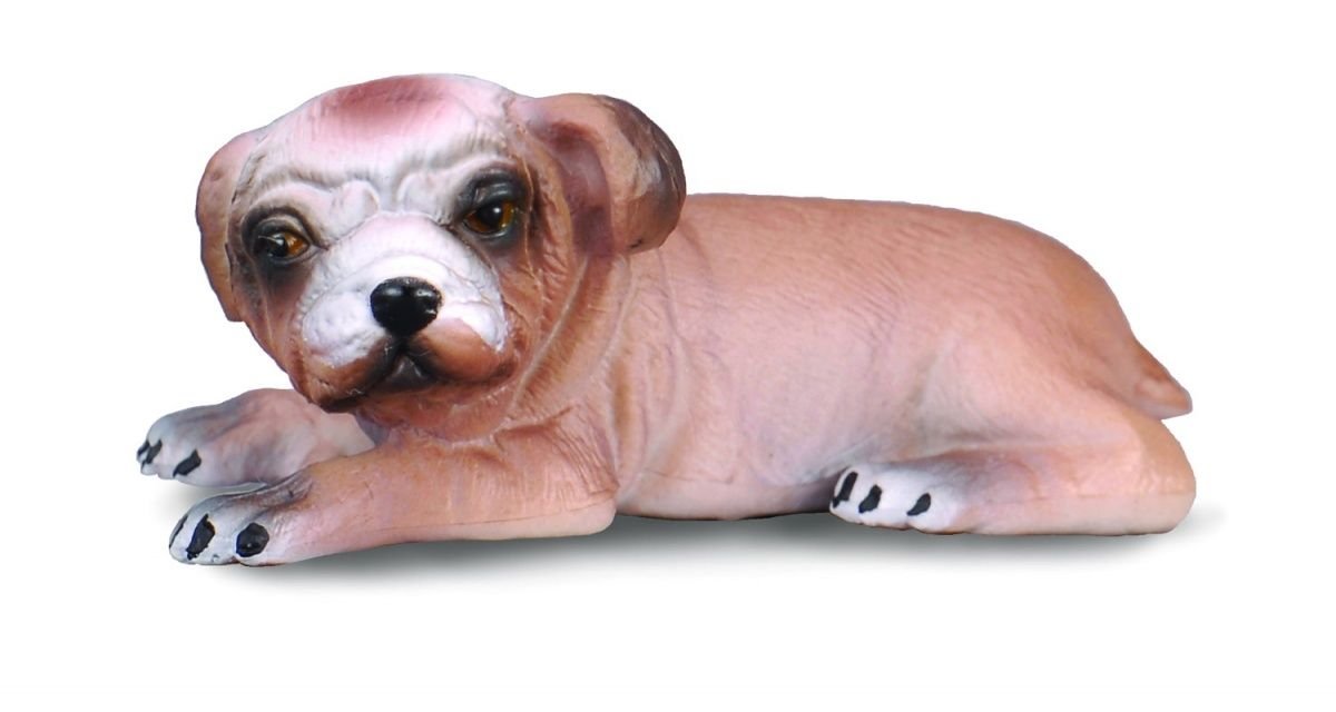 Collecta English Bulldog Puppy