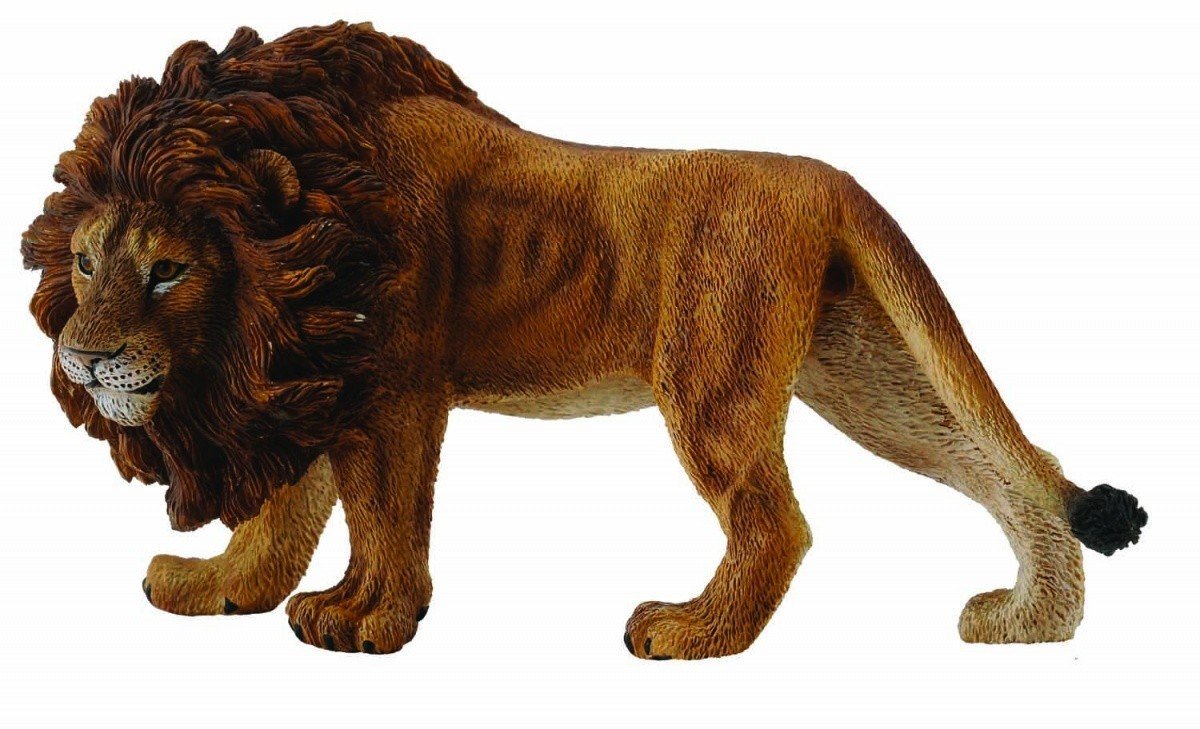 Collecta Male Lion