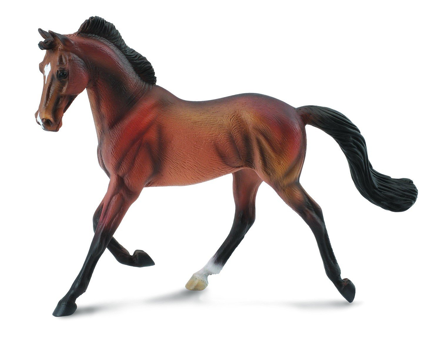 Collecta Thor – Bred Mare, Bay By Collecta