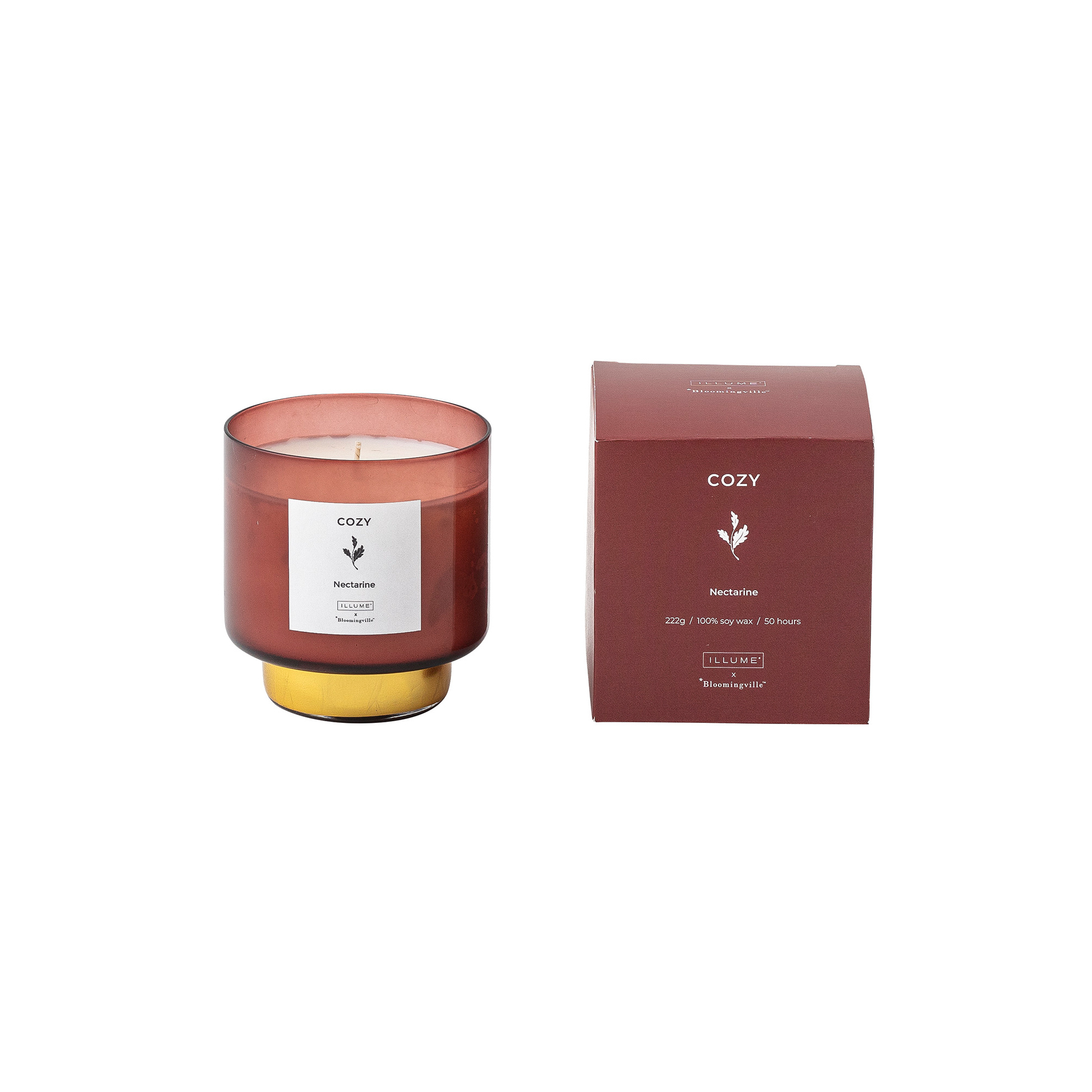 Cozy Nectarine Scented Candle