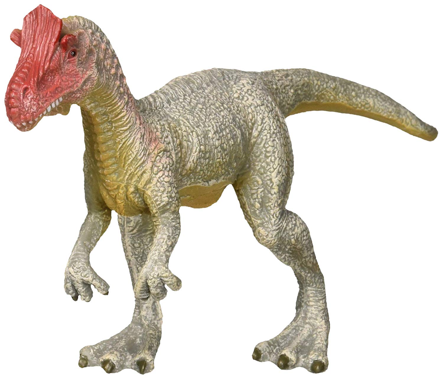 Collecta Crylophosaurus Dinosaur