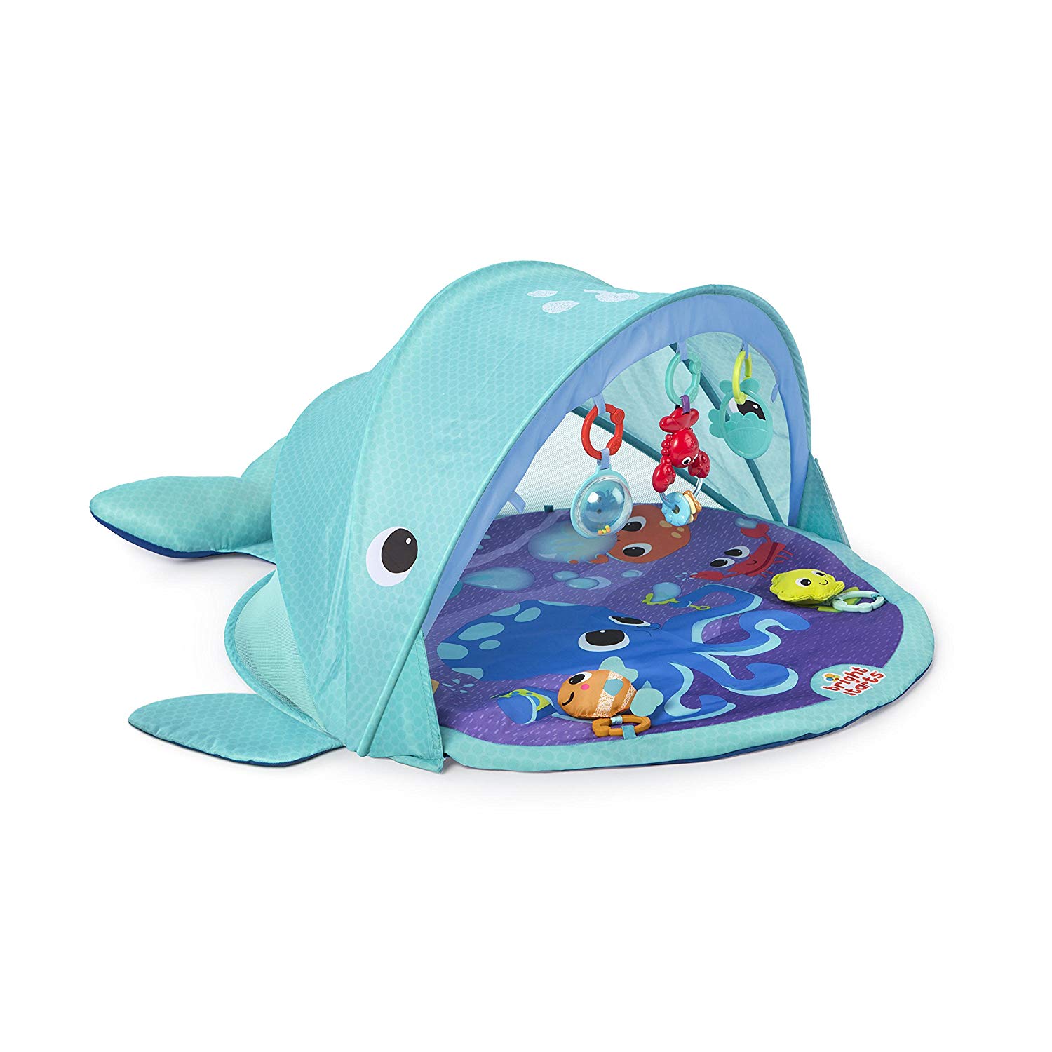 Bright Starts, Outdoor Whale Play Mat
