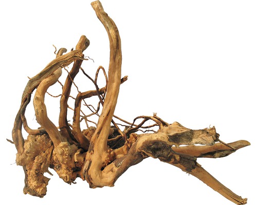 Decoration finger root X-Large