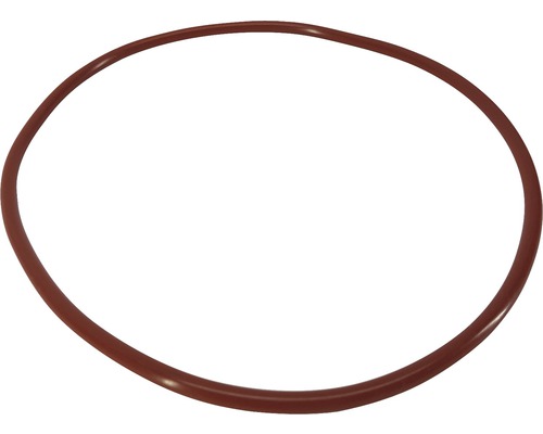 Sealing ring Eheim for 2211
