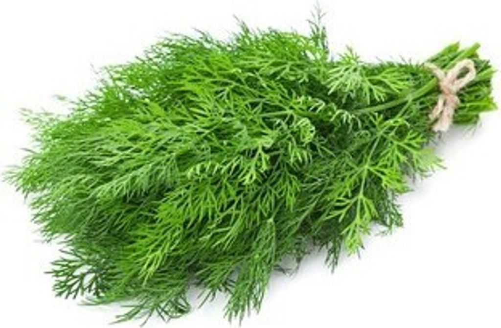 Dill bunch Poland 30G