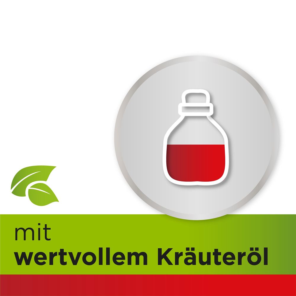 Dobensana Herbal Minze-, Menthol- & Kirschgeschmack