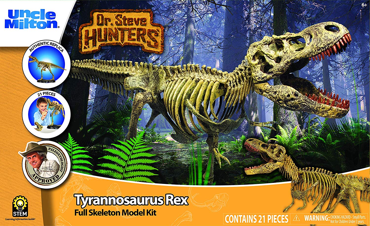 Dr Steve Hunters 91082Bf T. Rex Replica Skeleton Model 1:15 Scale 30" Multi