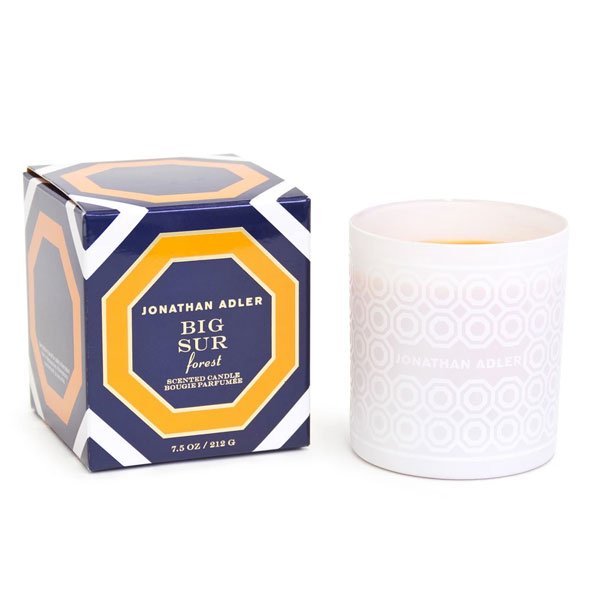 Scented candle Jet Set Candle Big Sur (220g) by Jonathan Adler