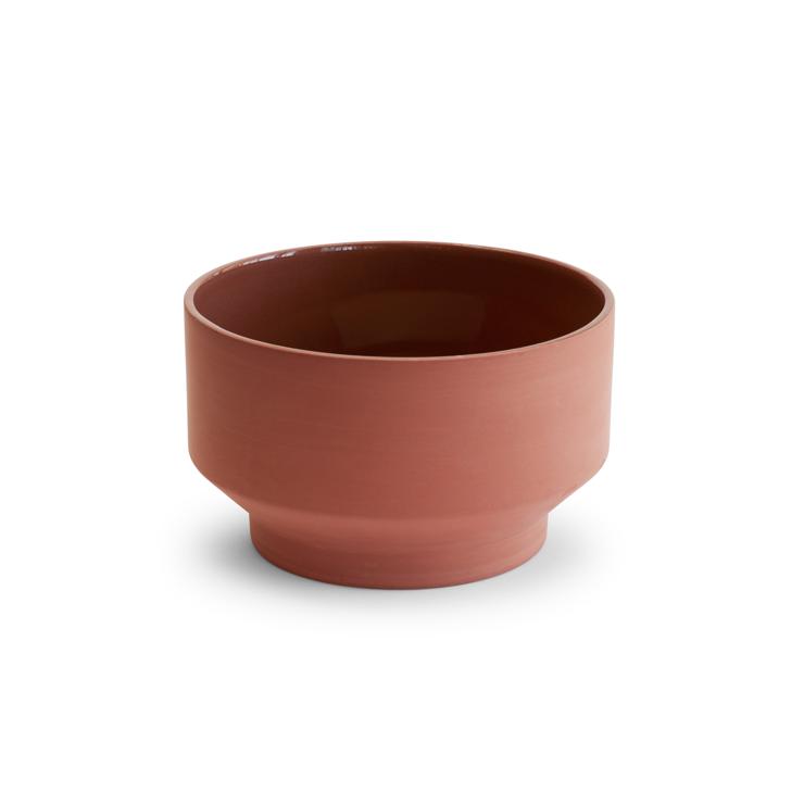 Edge Shell Of Terracotta