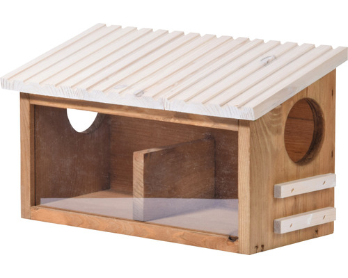 Squirrel feeding station made of weatherproof wood 38x19x22 cm brown