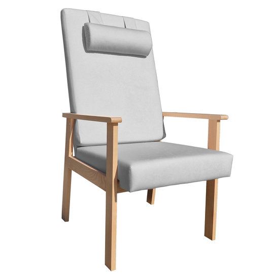 einrichtungsdesign24 Alexandra senior chair with armrest