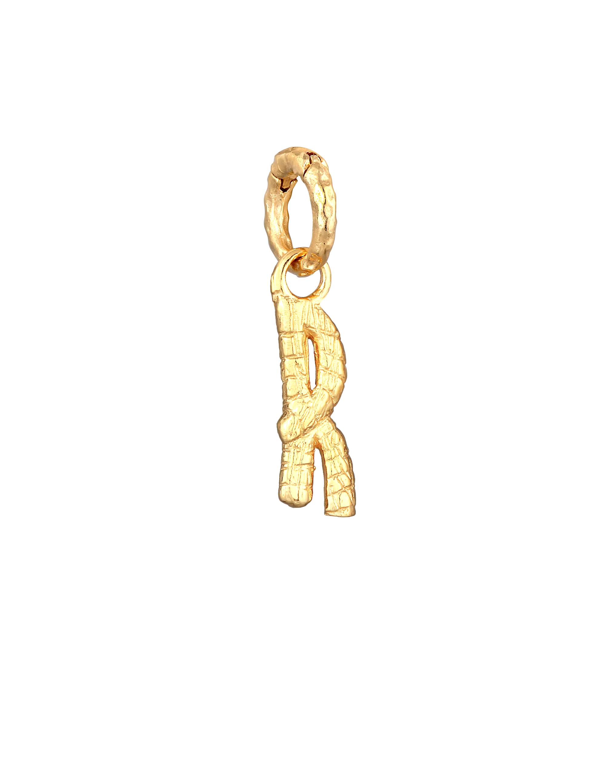 Elli jewelry pendant letter R organic look 925 silver gold-plated