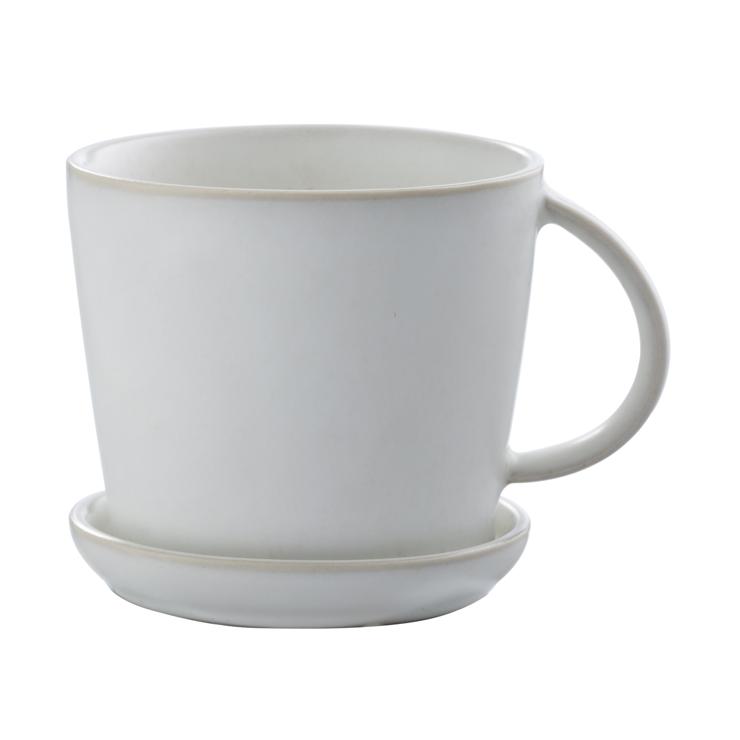 Ernst Cup And Saucer 8.5Cm