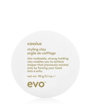 evo cassius styling clay