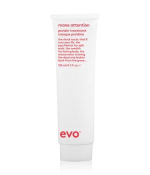 evo mane attention protein treatment