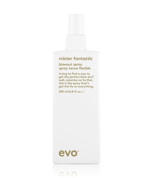 evo mister fantastic blowout spray