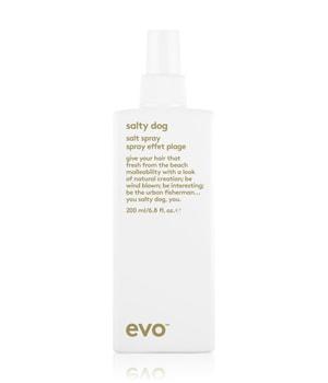 evo salty dog ​​Salt Spray