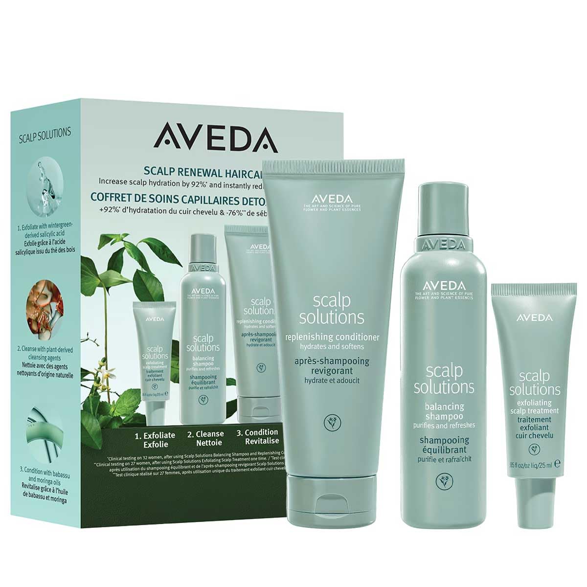 Aveda Scalp Solutions Renewal Haircare Kit