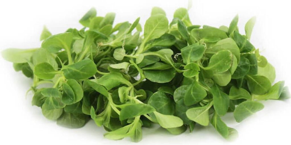 Fresh, unwashed lamb's lettuce (approx. 100 g)