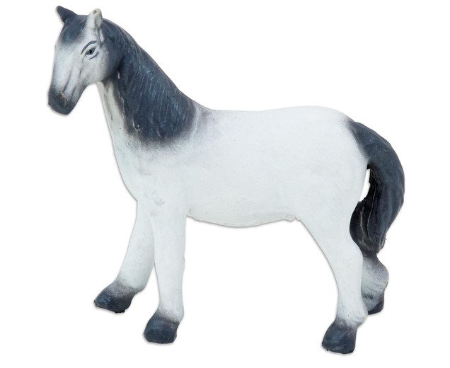 Foal Grey